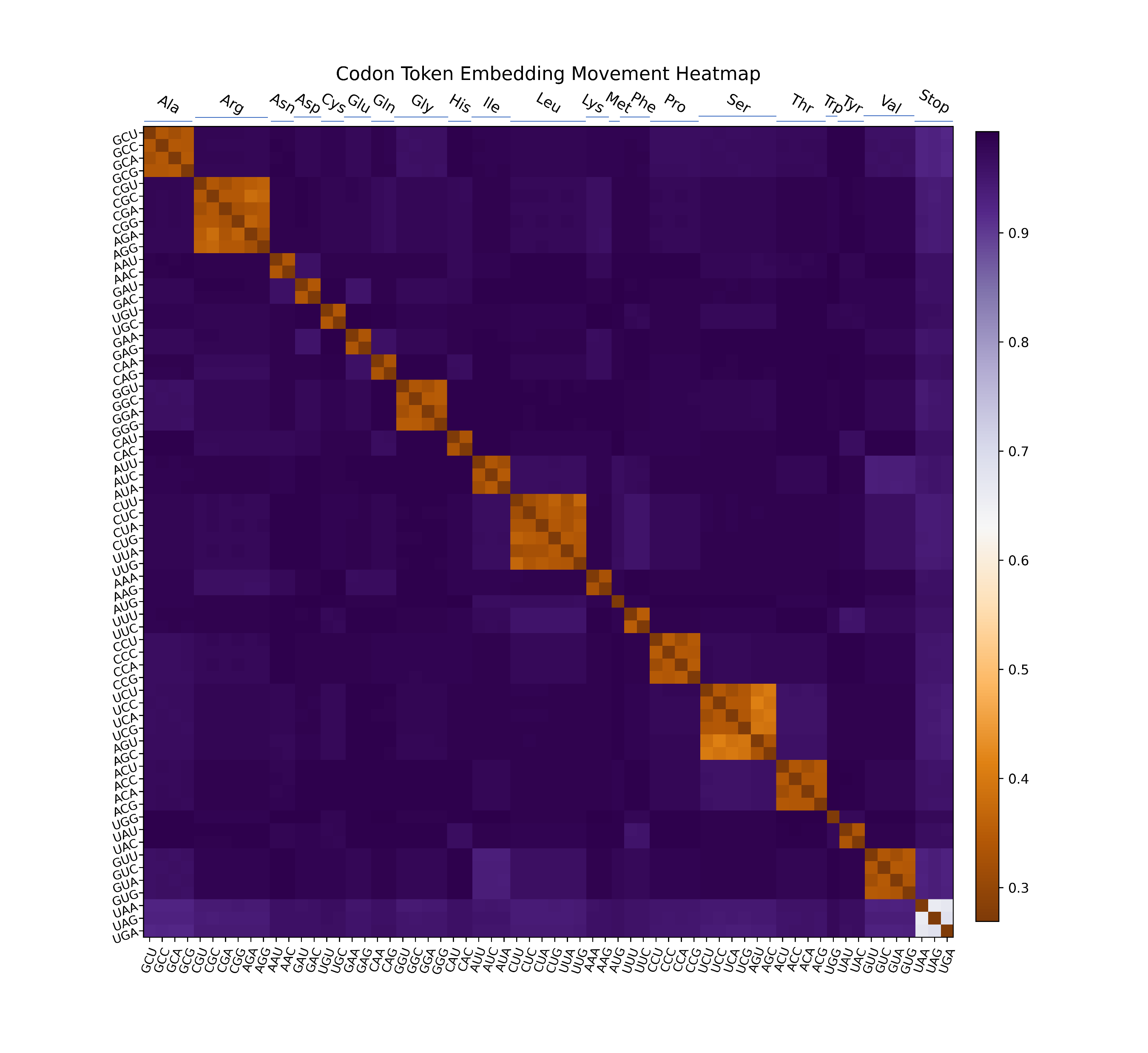 Beyond Amino Acids: How Codon Awareness is Revolutionizing Protein Language Models