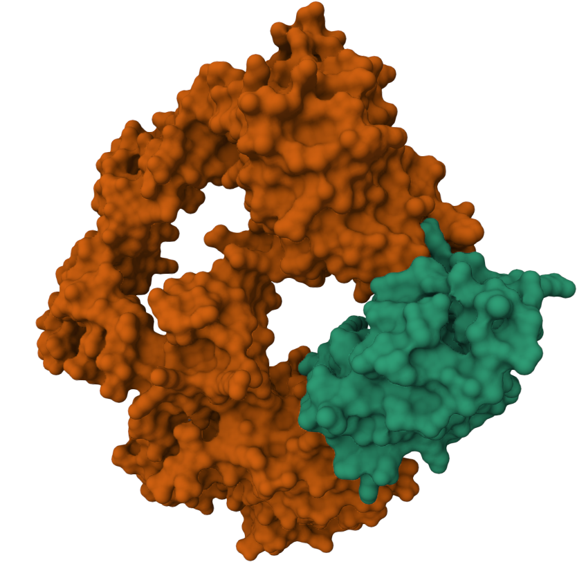 Protein-Protein Interaction Prediction with LLMs - Synteract