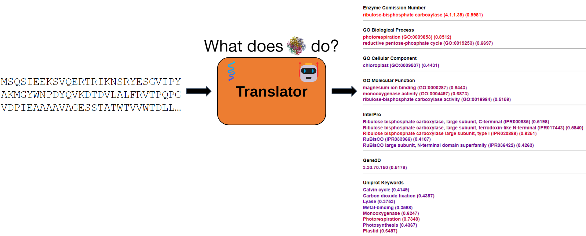 Translator - Broad protein annotation fast